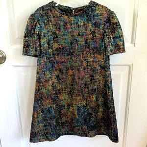 Zara Girls SZ 8 iridescent dress lined